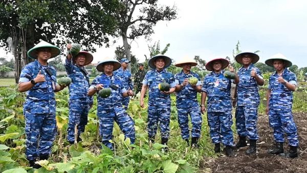 Danlanud Sulaiman Pimpin Panen Labu Parang Hijau untuk Ketahanan Pangan
