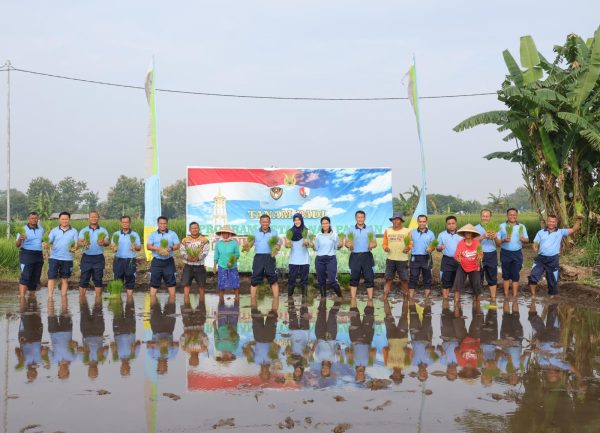 Dukung Ketahanan Pangan, Danlanud Adisutjipto Tanam Padi Bersama Petani