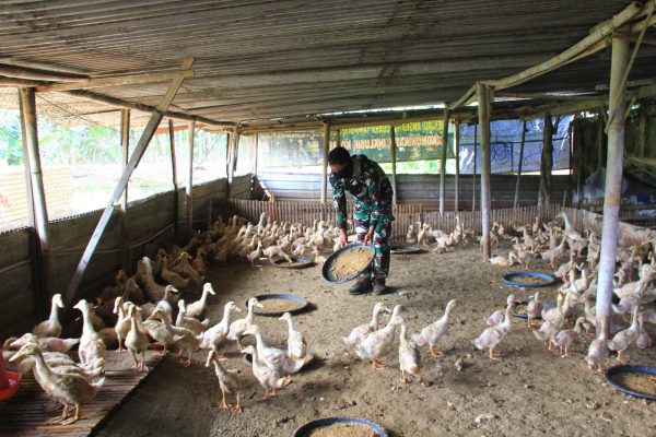 Dukung Program Pemerintah, Depohar 30 Maksimalkan Pemanfaatan Lahan Produktif
