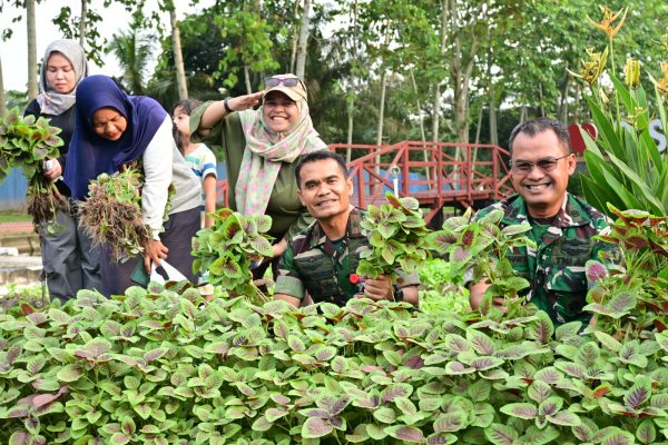 Wujud Nyata Dukung Ketahanan Pangan, Lanud Roesmin Nurjadin Panen Sayur