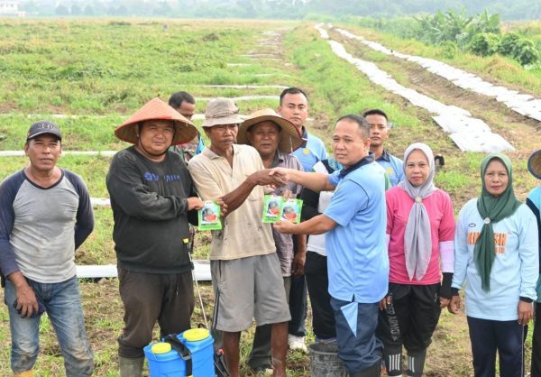 Lanud Soewondo Perkuat Ketahanan Pangan dengan Budidaya Semangka dan Ubi Rambat