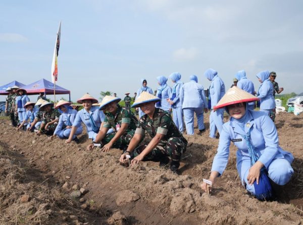 Lanud Iswahjudi Manfaatkan Lahan untuk Ketahanan Pangan
