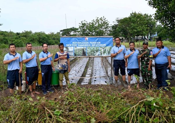 Dukung Ketahanan Pangan: Lanud Wiriadinata Bersama Warga Binaan Manfaatkan Lahan Kosong Untuk Perluasan Penanaman Mentimun
