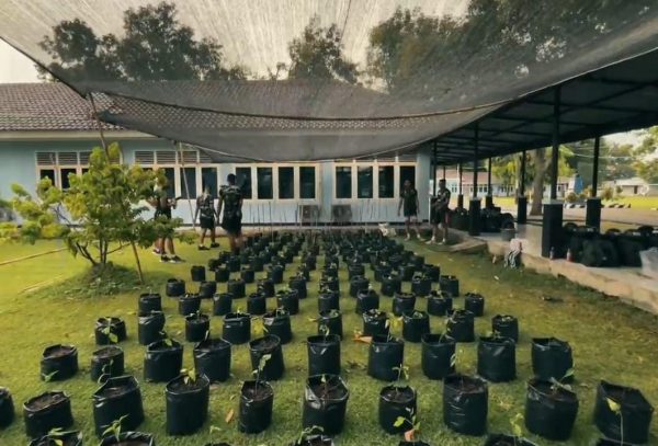 Siswa Skadik 404 Lanud Adi Soemarmo Tanam Bibit Cabai, Wujud Dukungan TNI AU terhadap Ketahanan Pangan
