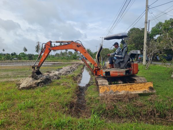 RSA Farm Lanud Raden Sadjad Perkuat Ketahanan Pangan, Optimalisasi Drainase Tingkatkan Produktivitas