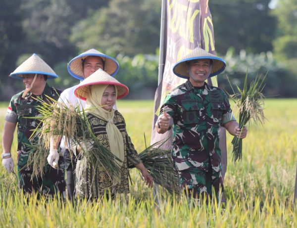 Wakasau Pimpin Panen Raya Padi di Lanud Halim Perdanakusuma, Dukung Ketahanan Pangan Nasional