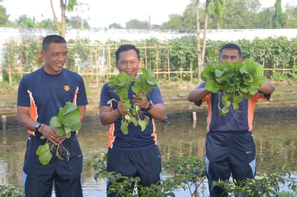 Denhanud 474 Kopasgat Gelar Panen Raya, Perkuat Ketahanan Pangan Satuan