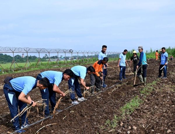 Lanud Wiriadinata Perluas Lahan Pakan Mandiri, Perkokoh Kemandirian Pangan Nasional