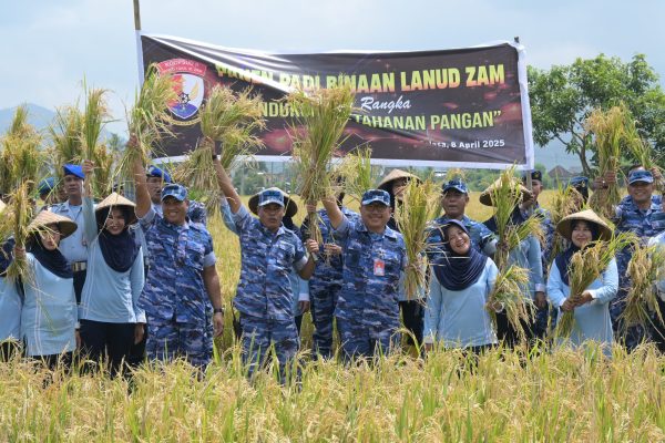 TNI AU AMPUH: Danlanud ZAM Pimpin Panen Padi, Dukung Ketahanan Pangan Nasional