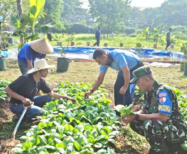 Lanud Husein Sastranegara Perkuat Kualitas Tanaman Pangan, Wujud Konkret TNI AU AMPUH
