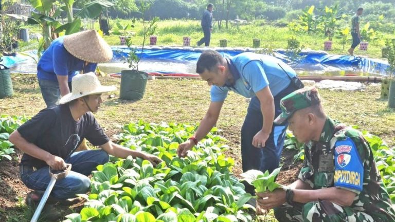 Lanud Husein Sastranegara Perkuat Kualitas Tanaman Pangan, Wujud Konkret TNI AU AMPUH