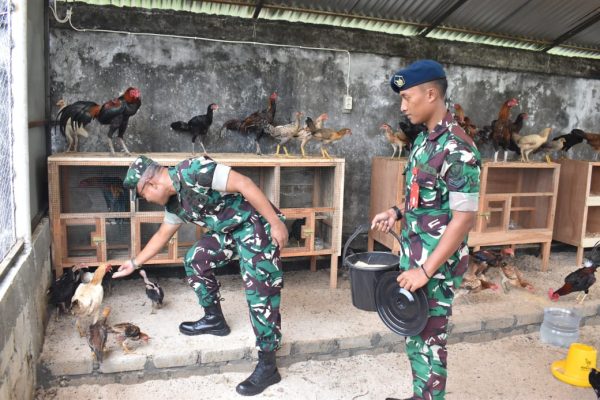 Perkuat Kemandirian Pangan, Lanud Leo Wattimena Resmikan Rizki Wal Barokah Aviary Farm Wujud Nyata Semangat TNI AU AMPUH