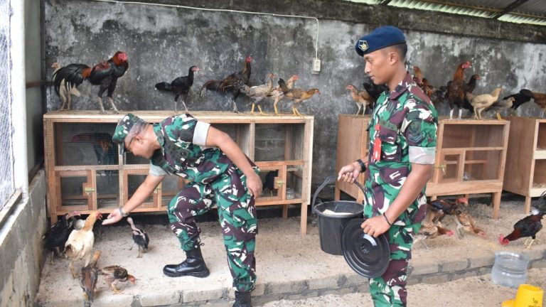 Perkuat Kemandirian Pangan, Lanud Leo Wattimena Resmikan Rizki Wal Barokah Aviary Farm Wujud Nyata Semangat TNI AU AMPUH