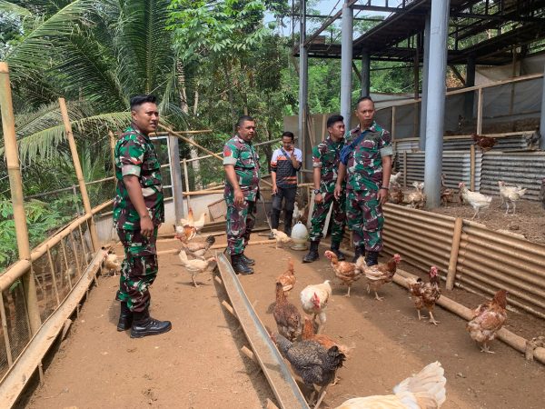 TNI AU AMPUH; Kompi Produksi Hanpangan Lanud Wiriadinata Ikuti Pelatihan Budidaya Ayam di Lemona Farm