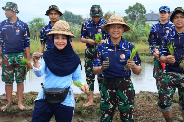 Tanam Padi di Denpasar Utara, Lanud I Gusti Ngurah Rai Wujudkan Ketahanan Pangan yang AMPUH