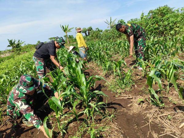 Lanud Husein Sastranegara Optimalkan Aset di Garut untuk Dukung Ketahanan Pangan yang AMPUH