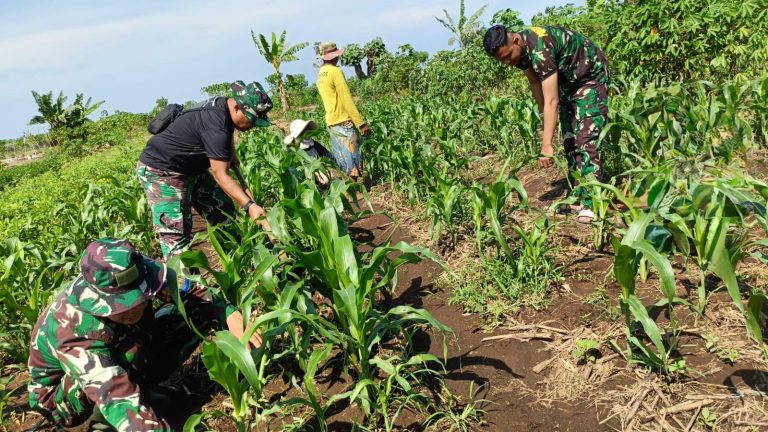 Lanud Husein Sastranegara Optimalkan Aset di Garut untuk Dukung Ketahanan Pangan yang AMPUH
