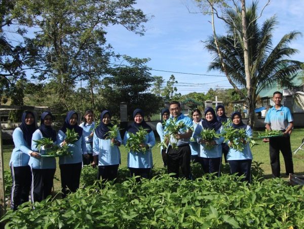 Wujudkan TNI AU AMPUH, Kosek III Laksanakan Panen Raya Dukung Ketahanan Pangan Nasional