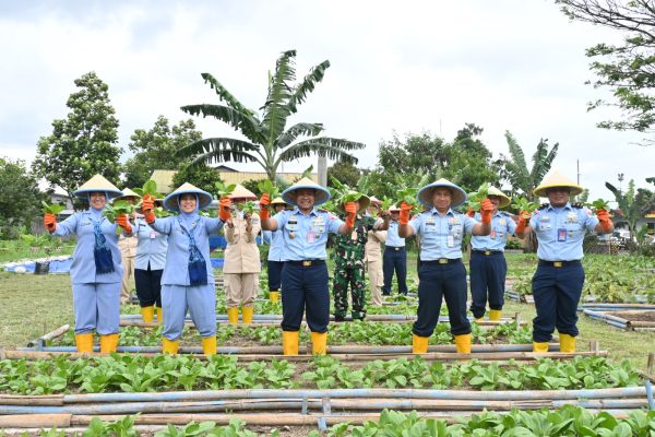 Lanud Husein Sastranegara Panen Pakcoy, Wujud Nyata TNI AU AMPUH Dukung Ketahanan Pangan dan Gizi Anak Bangsa