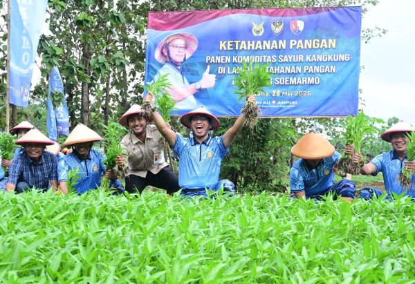 Panen Kangkung 250 Kg, Bukti Program Ketahanan Pangan Lanud Adi Soemarmo yang AMPUH
