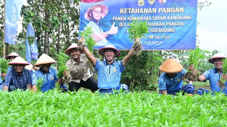 Panen Kangkung 250 Kg, Bukti Program Ketahanan Pangan Lanud Adi Soemarmo yang AMPUH