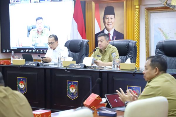 Pemerintah Minta Pemda Optimalisasi Sawah Tadah Hujan untuk Swasembada Pangan