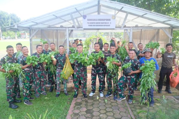 Wujudkan TNI AU AMPUH Dukung Ketahanan Pangan, Yonko 464 Kopasgat Panen Sayuran Hidroponik