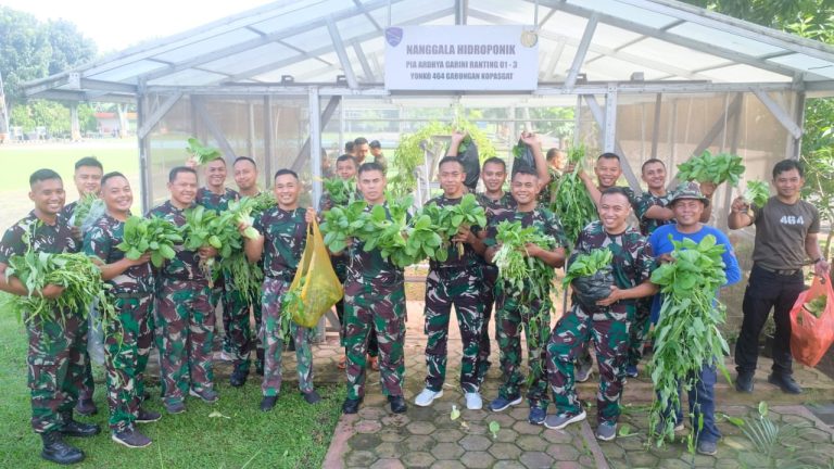 Wujudkan TNI AU AMPUH Dukung Ketahanan Pangan, Yonko 464 Kopasgat Panen Sayuran Hidroponik