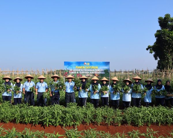 Panen Raya Kangkung, Kompi Produksi Lanud Suryadarma Buktikan Komitmen Dukung Ketahanan Pangan