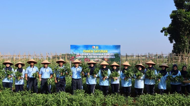 Panen Raya Kangkung, Kompi Produksi Lanud Suryadarma Buktikan Komitmen Dukung Ketahanan Pangan