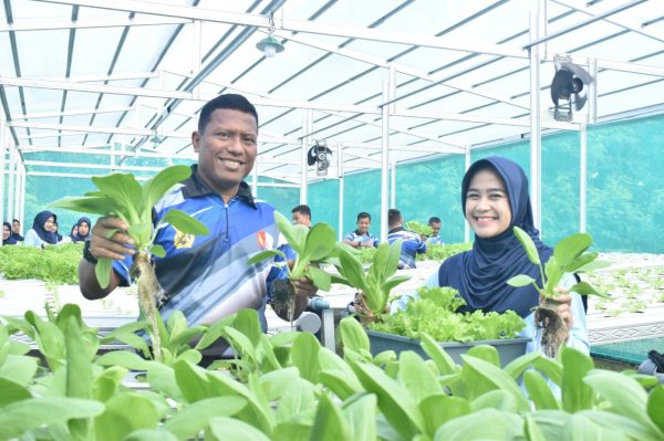 Panen Sayuran Hidroponik, Lanud Muljono Wujudkan Dukungan Konkret terhadap Ketahanan Pangan Nasional