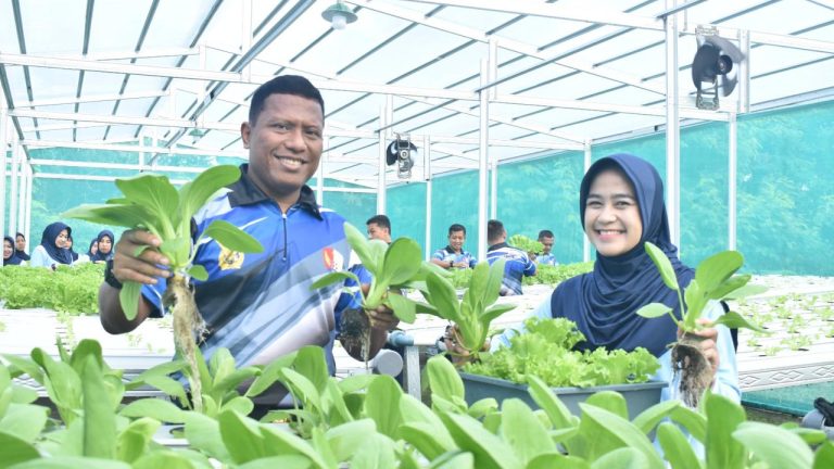 Panen Sayuran Hidroponik, Lanud Muljono Wujudkan Dukungan Konkret terhadap Ketahanan Pangan Nasional