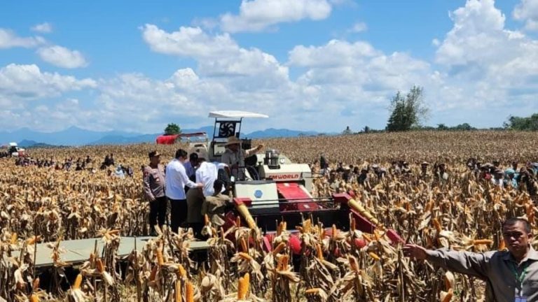 TNI AU AMPUH Dukung Ketahanan Pangan Nasional, Lanud Harry Hadisoemantri Jadi Lokasi Panen Raya Jagung Bersama Presiden RI