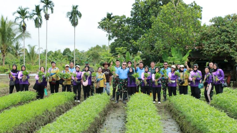 Wujud Nyata TNI AU AMPUH, Danlanud Yohanis Kapiyau Pimpin Panen Padi Gogo dan Kangkung di Mimika