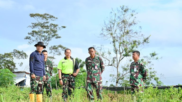 Perkuat Ketahanan Pangan di Sulawesi Tenggara, Danlanud Haluoleo Tinjau Langsung Lahan Pertanian TNI AU yang AMPUH