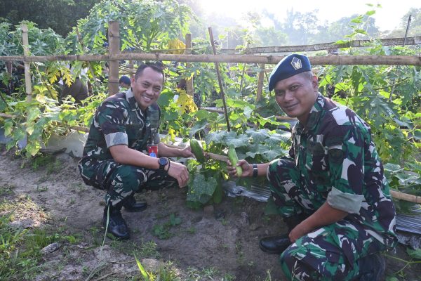 Panen Hortikultura di Lanud Sjamsudin Noor, Bukti Peran TNI AU Dukung Ketahanan Pangan Nasional