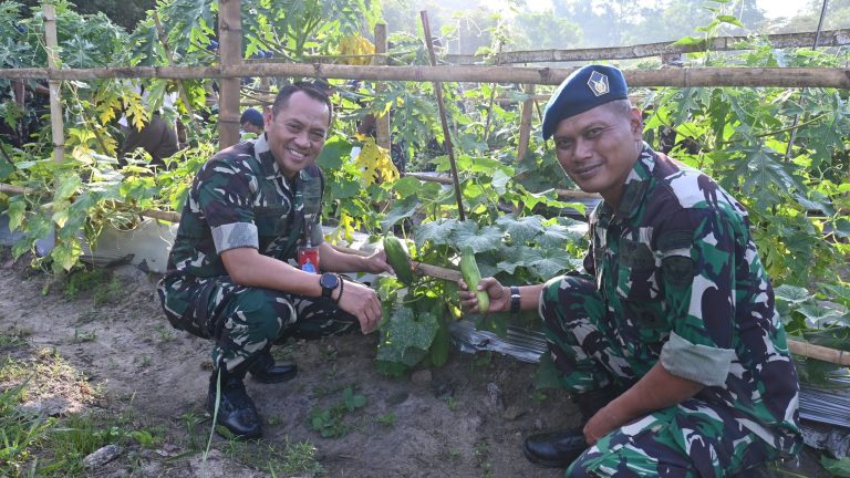 Panen Hortikultura di Lanud Sjamsudin Noor, Bukti Peran TNI AU Dukung Ketahanan Pangan Nasional
