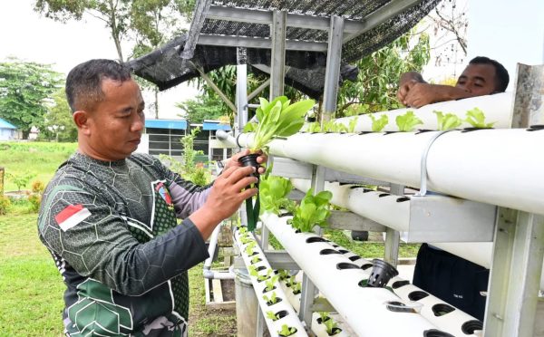 Lanud Sjamsudin Noor Lakukan Perawatan Rutin Lahan Ketahanan Pangan