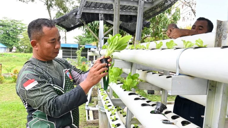 Lanud Sjamsudin Noor Lakukan Perawatan Rutin Lahan Ketahanan Pangan