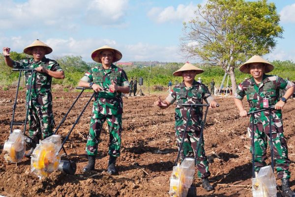 Komitmen Dukung Ketahanan Pangan, Lanud El Tari Tanam Jagung Lamuru