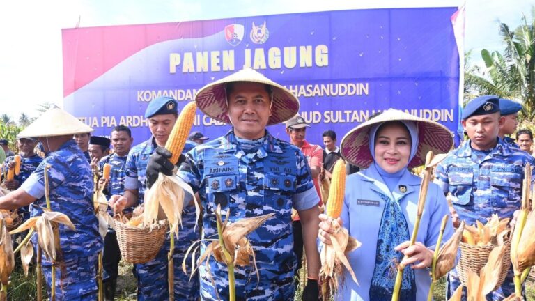 Lanud Sultan Hasanuddin Panen Jagung Hibrida di Lahan Binaan Seluas 53 Hektar