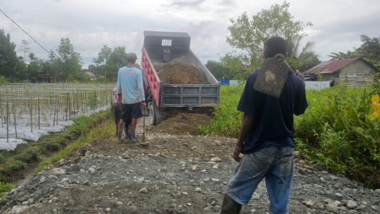 Perkuat Infrastruktur Pertanian Desa, TNI AU Bersama Warga Timbun Jalan di Mimika
