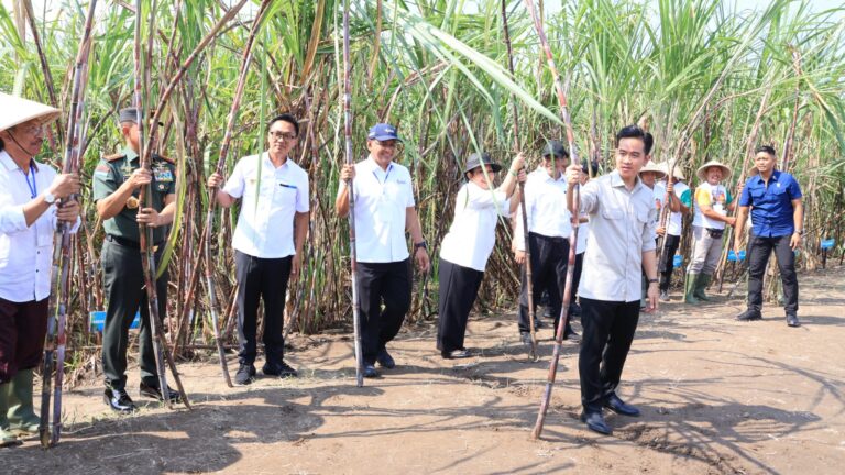 Panen Tebu di Lahan Ketahanan Pangan Lanud Adisutjipto, Wapres RI Apresiasi TNI AU