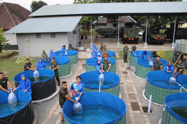 Tebar Ribuan Bibit, Yonko 464 Kopasgat Optimalkan 12 Kolam Lele untuk Ketahanan Pangan