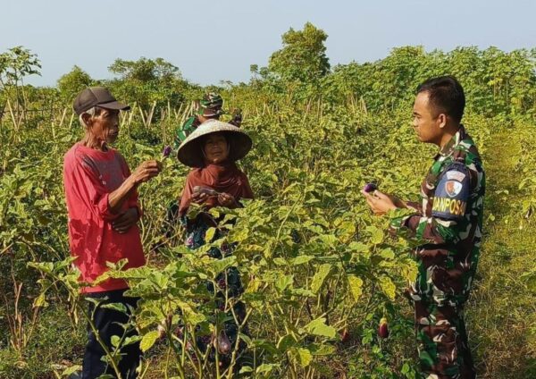 TNI AU Dorong Ketahanan Pangan Warga Pesisir Garut Melalui Pemanfaatan Lahan