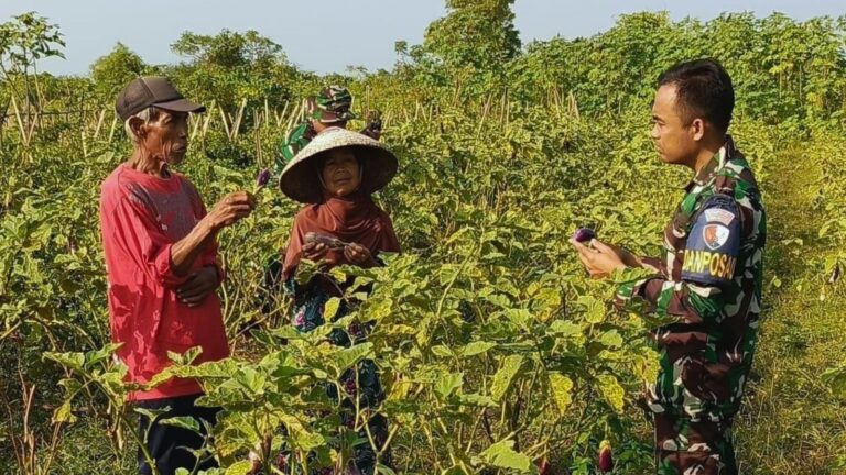TNI AU Dorong Ketahanan Pangan Warga Pesisir Garut Melalui Pemanfaatan Lahan