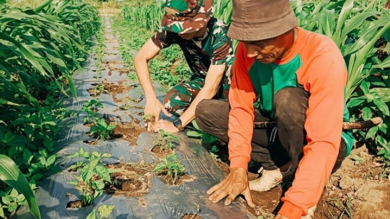 Lanud Husein Sastranegara Dukung Ketahanan Pangan di Pesisir Garut