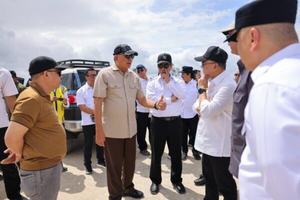 Wanam dirancang sebagai Proyek Strategis Nasional (PSN) untuk Pusat Cadangan Pangan Nasional Wanam.