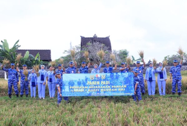 Lanud I Gusti Ngurah Rai Gelar Panen Padi Wujudkan Ketahanan Pangan Nasional