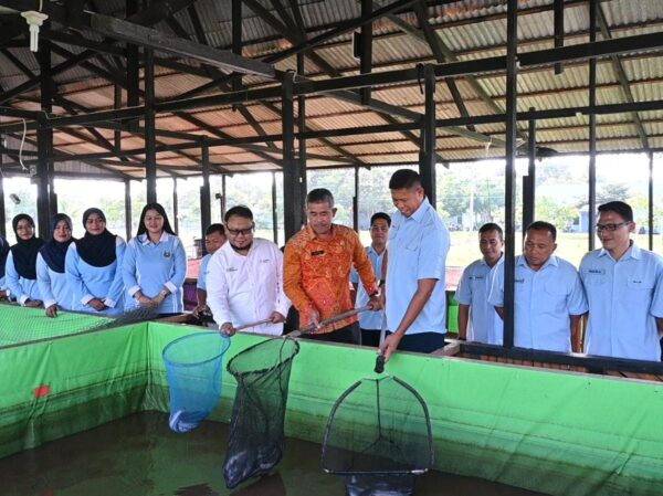 Lanud Raden Sadjad Panen Ikan, Perkuat Ketahanan Pangan di Perbatasan